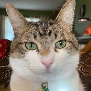 Meet your Posher, Timothy